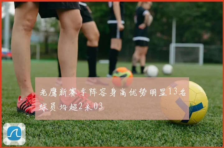 老鹰新赛季阵容身高优势明显13名球员均超2米03