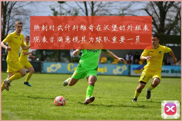 热刺对武什科维奇在汉堡的外租表现表示满意视其为球队重要一员