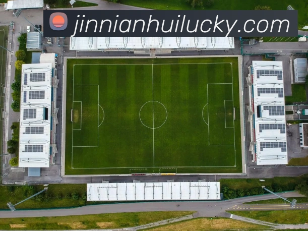 金年会APP 封面图